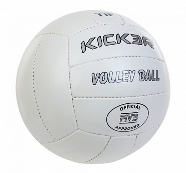 Мяч волейбольный Larsen Kicker Tip 1252